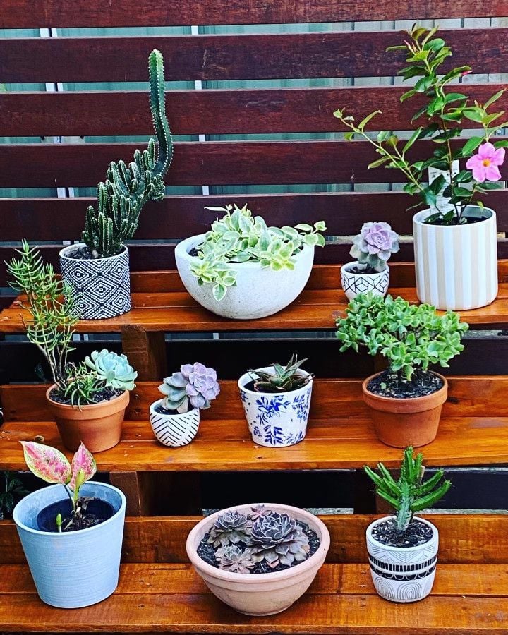 mainstand.jpg mainstand.jpg