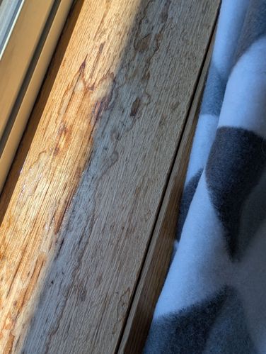 1000004779.jpg 1000004779.jpg