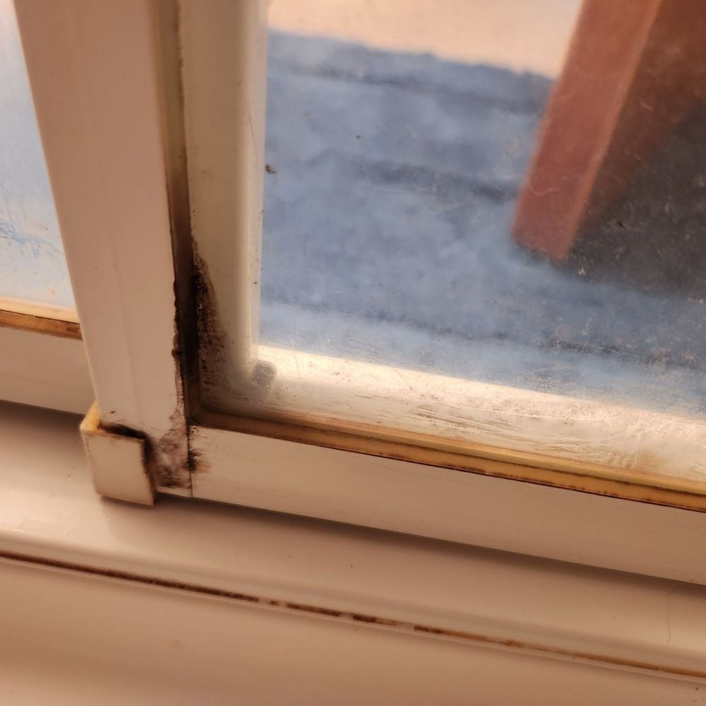 Mould 2.jpg Mould 2.jpg