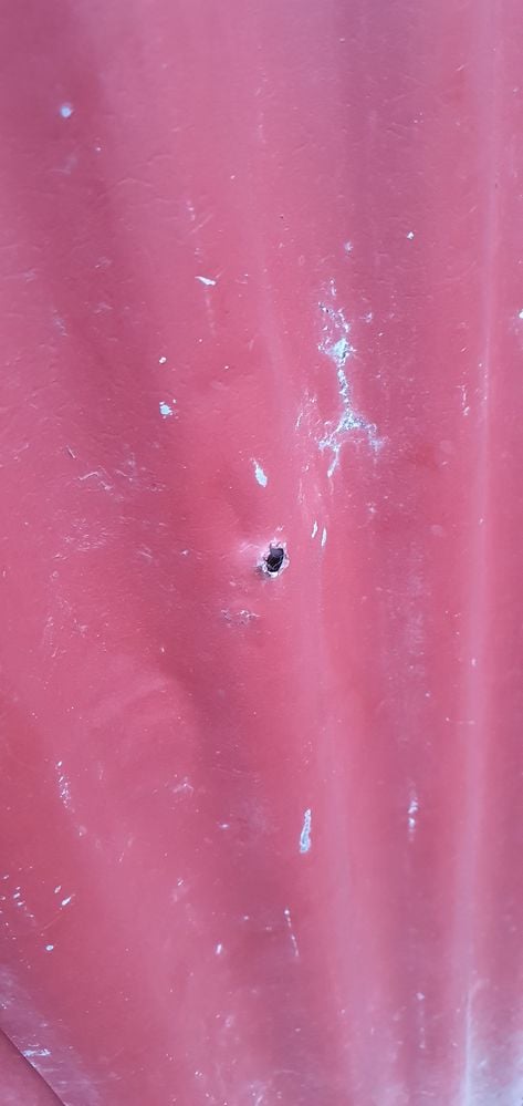 20240814_172620.jpg 20240814_172620.jpg