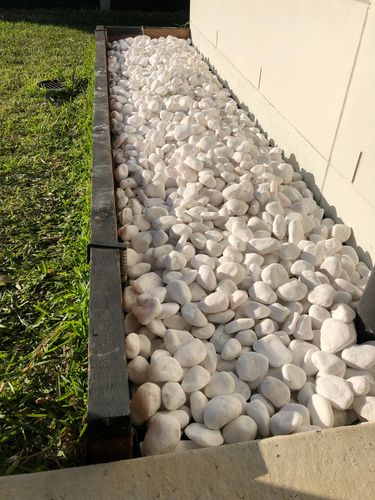 IMG_9102.jpeg IMG_9102.jpeg