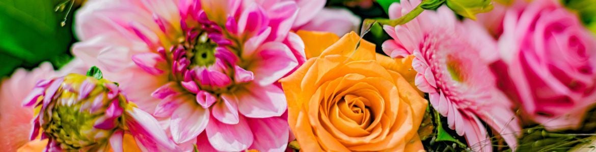 cut-flowers.jpeg cut-flowers.jpeg