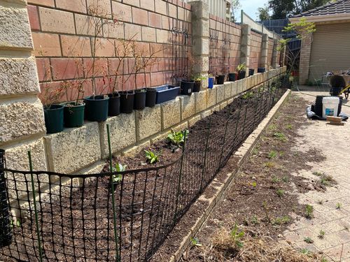 DAA487C9-990B-417C-A4D4-7FFC5D6ABEF1.jpeg DAA487C9-990B-417C-A4D4-7FFC5D6ABEF1.jpeg