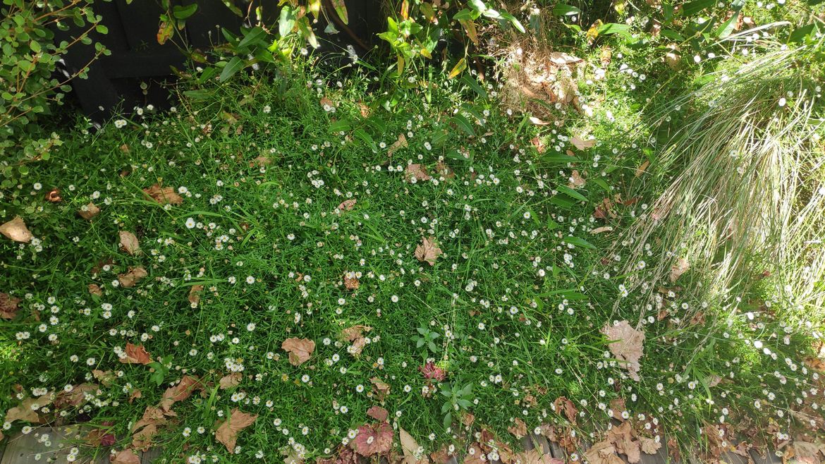 1707371857883.jpg 1707371857883.jpg