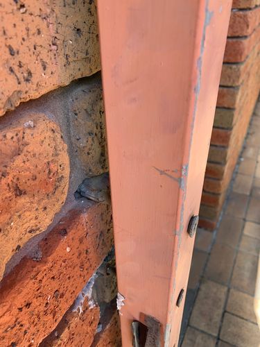 IMG_1147.jpeg IMG_1147.jpeg