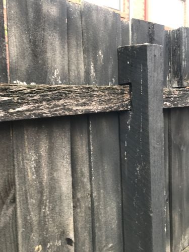 E20D1E59-5AB8-4B89-BFF8-C7833F37F760.jpeg E20D1E59-5AB8-4B89-BFF8-C7833F37F760.jpeg