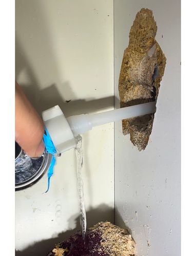 IMG_1157.jpeg IMG_1157.jpeg