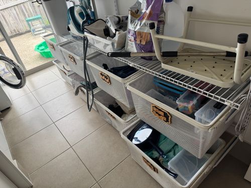 IMG_1972.jpeg IMG_1972.jpeg