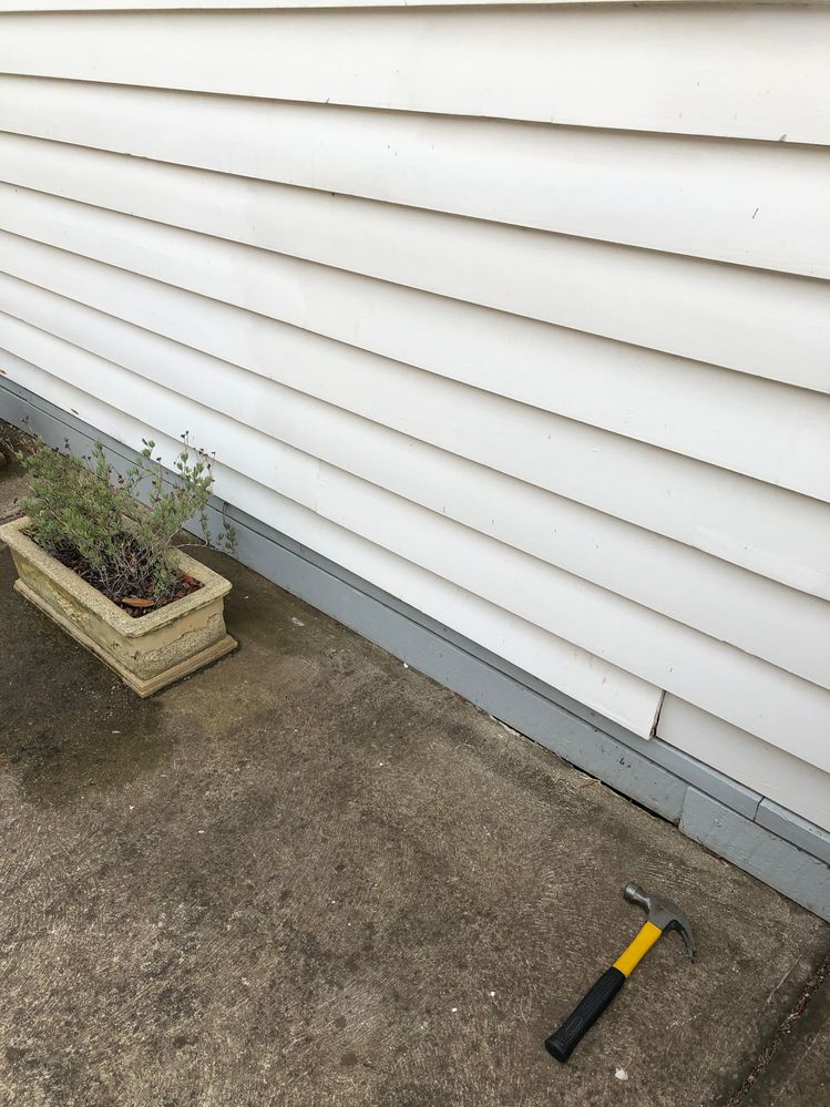 IMG_7904DDD.JPG IMG_7904DDD.JPG