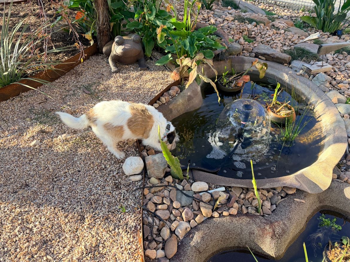 IMG_0117.JPG IMG_0117.JPG