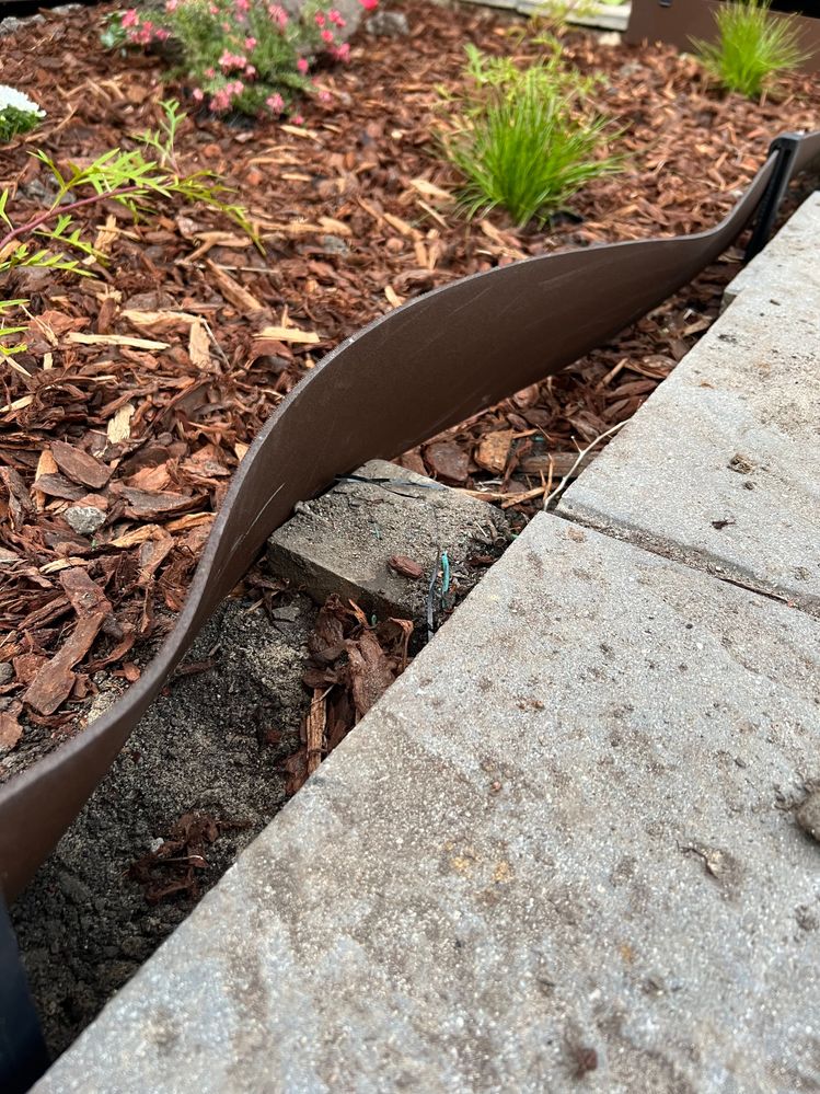 IMG_3959.jpg IMG_3959.jpg