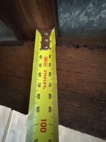 IMG_9553.jpeg IMG_9553.jpeg