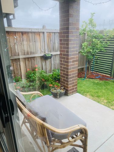 IMG_8922.jpeg IMG_8922.jpeg