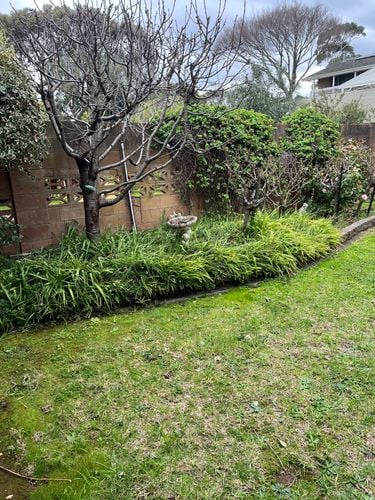 IMG_3217.jpeg IMG_3217.jpeg