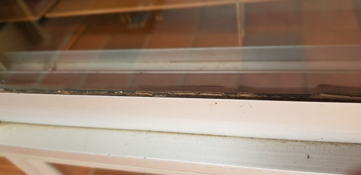 20220305_160841.jpg 20220305_160841.jpg