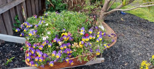 20220930_150617.jpg 20220930_150617.jpg