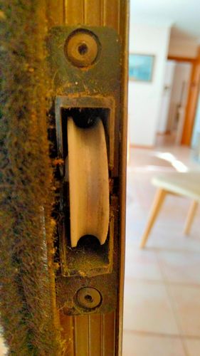 IMG20240331144603.jpg IMG20240331144603.jpg