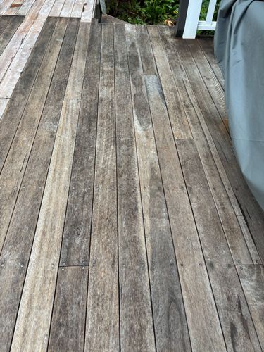 IMG_0113.jpeg IMG_0113.jpeg