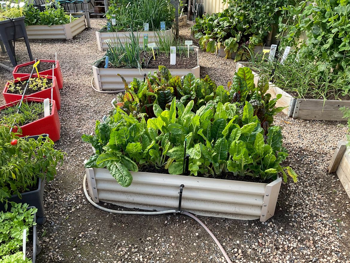 IMG_0783.jpeg IMG_0783.jpeg