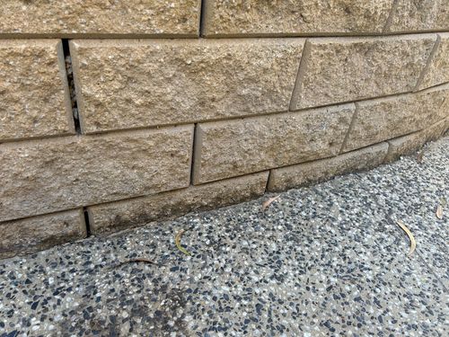 IMG_6574.jpeg IMG_6574.jpeg