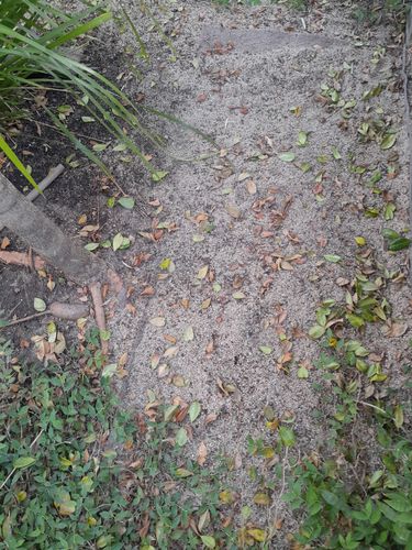 1000045838.jpg 1000045838.jpg