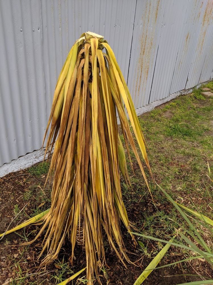 IMG_20190828_104629.jpg IMG_20190828_104629.jpg