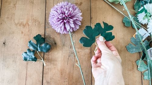 IMG_6236_jpg.jpg IMG_6236_jpg.jpg