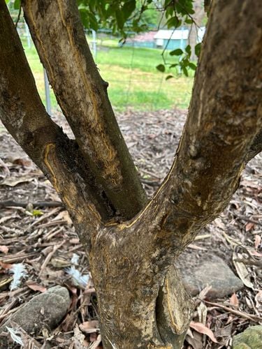 IMG_3137.jpeg IMG_3137.jpeg