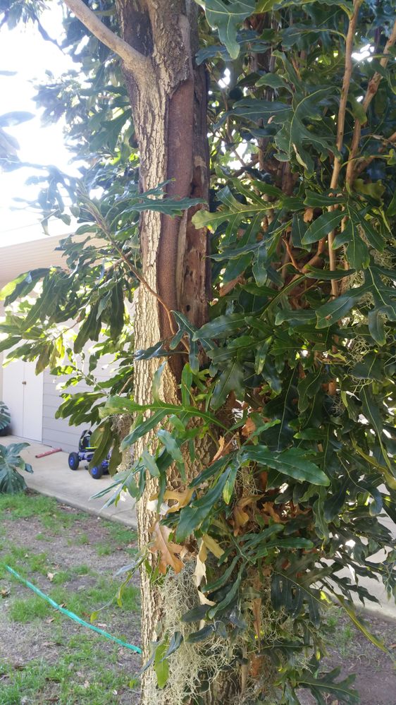 20180921_143849.jpg 20180921_143849.jpg