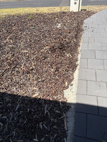 IMG_3831.jpeg IMG_3831.jpeg