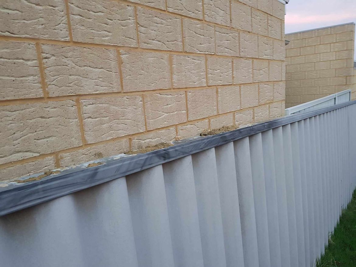 101A -1.jpg 101A -1.jpg