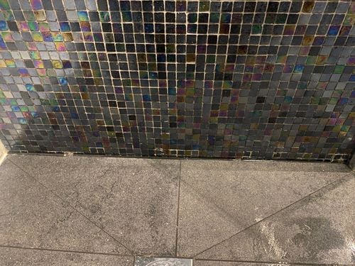 IMG_4799.jpeg IMG_4799.jpeg