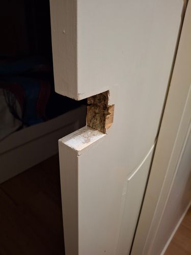 1000048931.jpg 1000048931.jpg