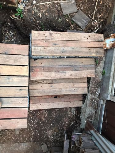 153 05-10-2024.jpg 153 05-10-2024.jpg