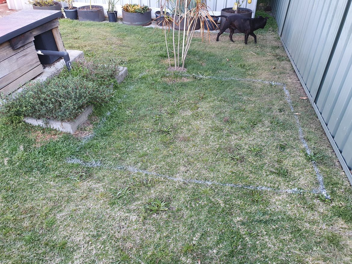 20210903_164008.jpg 20210903_164008.jpg