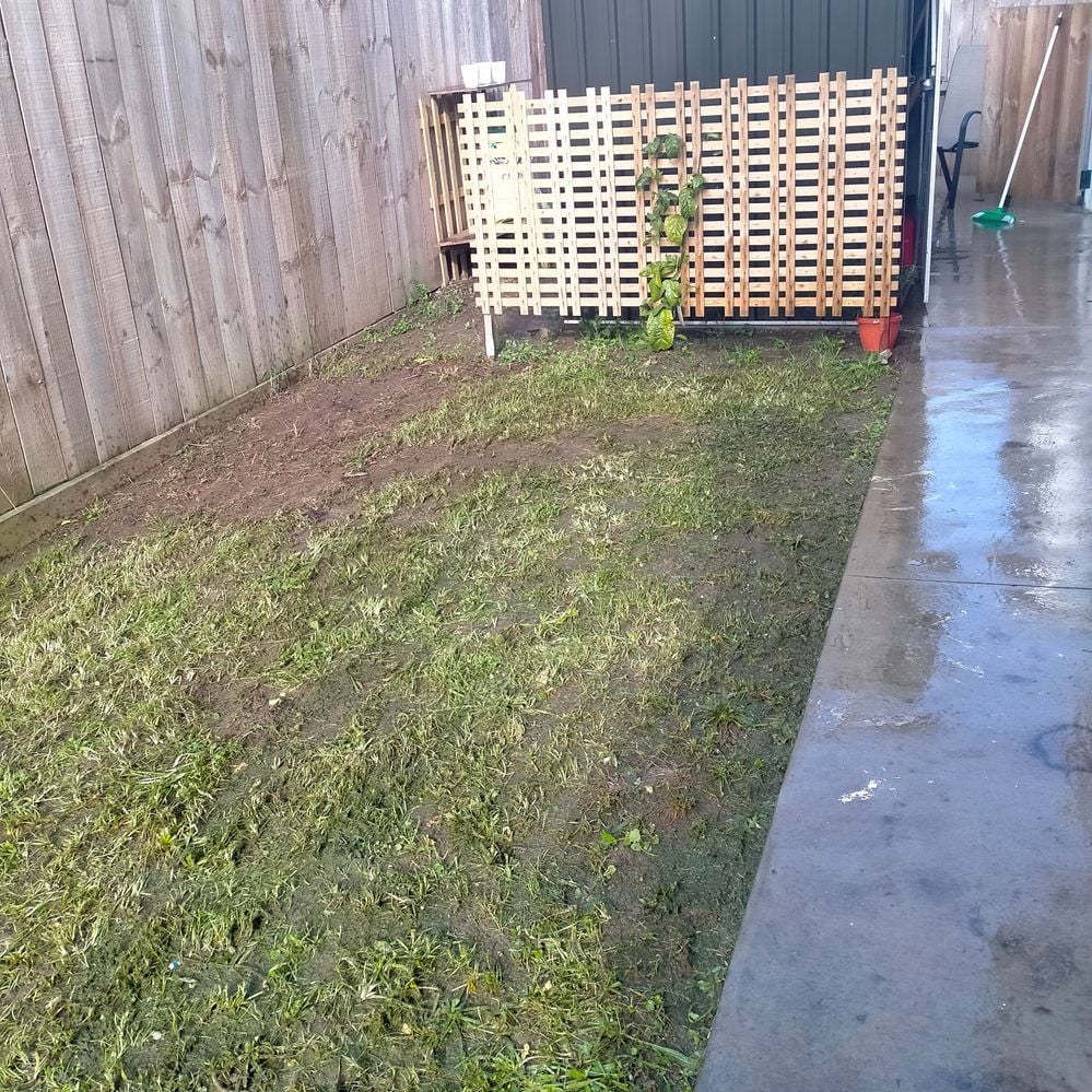 IMG20220703131003.jpg IMG20220703131003.jpg