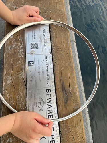 IMG_7940.jpeg IMG_7940.jpeg