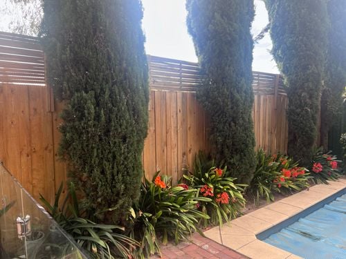 IMG_5856.jpeg IMG_5856.jpeg