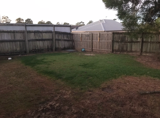 before1.png before1.png