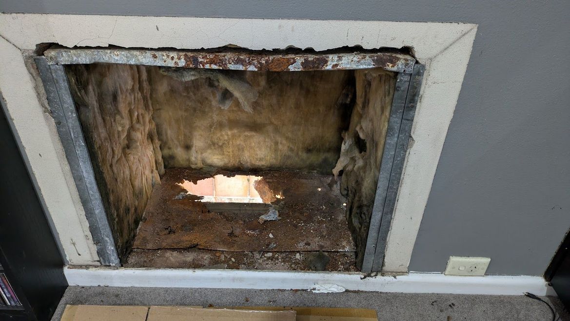 PXL_20241007_034531208.jpg PXL_20241007_034531208.jpg