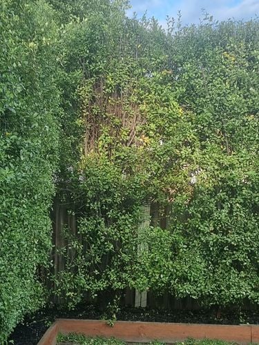 20231106_072220.jpg 20231106_072220.jpg