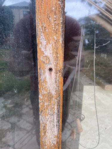 IMG_6842.jpeg IMG_6842.jpeg