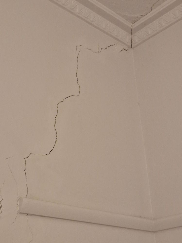 20231230_210937.jpg 20231230_210937.jpg