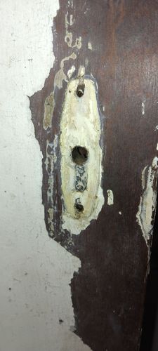 1000187675.jpg 1000187675.jpg