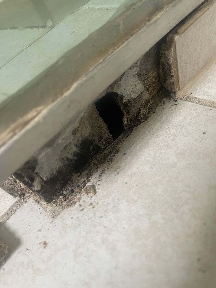 IMG_4649.JPG IMG_4649.JPG