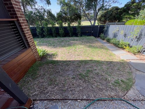 IMG_7352D.jpeg IMG_7352D.jpeg