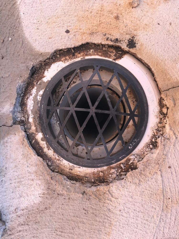 IMG_4687.jpg IMG_4687.jpg