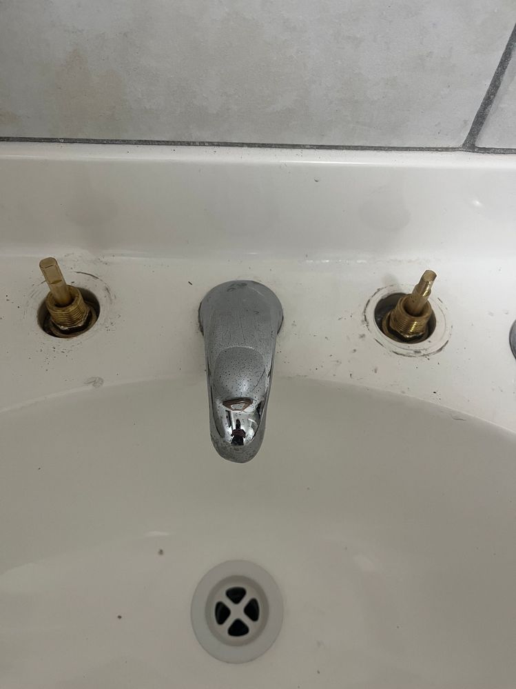 IMG_4941.jpeg IMG_4941.jpeg