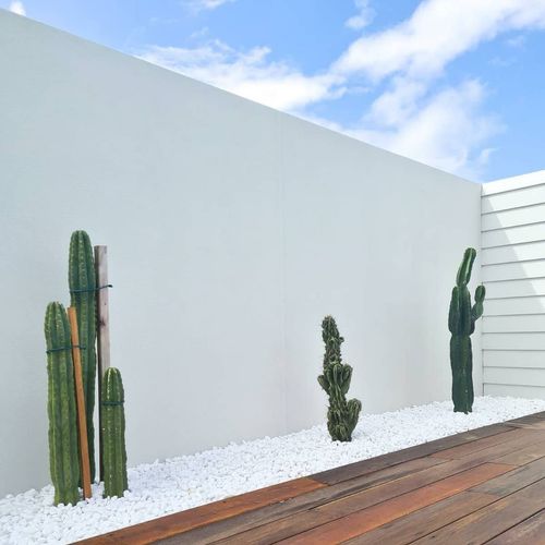 IMG_20200919_131822_542.jpg IMG_20200919_131822_542.jpg