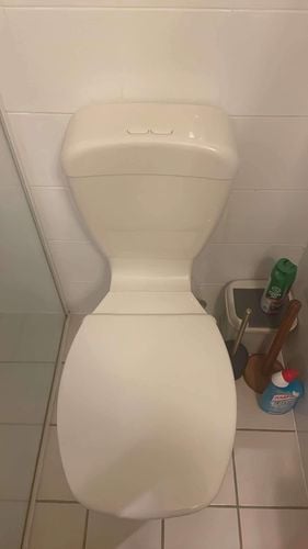 IMG_6313.jpeg IMG_6313.jpeg